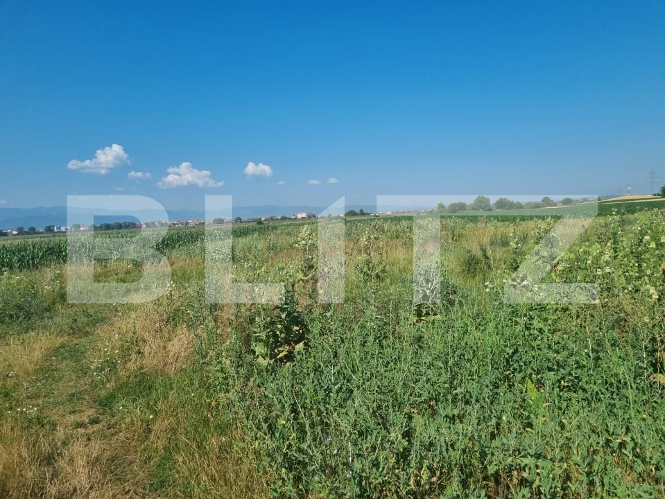 Teren de vânzare Turnisor - 151009TV | BLITZ Sibiu | Poza3