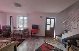 Casa individuala  in TALMACIU de vanzare