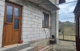 Casa individuala  in TALMACIU de vanzare