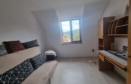 Casa individuala  in TALMACIU de vanzare