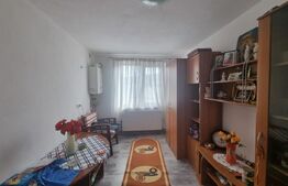 Casa individuala  in TALMACIU de vanzare