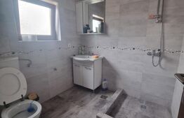 Casa individuala  in TALMACIU de vanzare