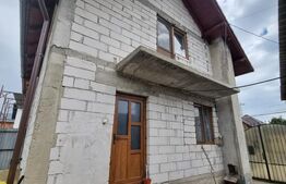 Casa individuala  in TALMACIU de vanzare