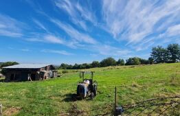 Teren extravilan de vanzare, 1.5 ha, Cisnădie!