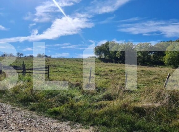 Teren de vânzare Cisnadie - 151046TV | BLITZ Sibiu | Poza1