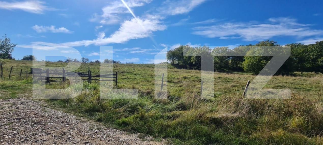 Teren de vânzare Cisnadie - 151046TV | BLITZ Sibiu | Poza1