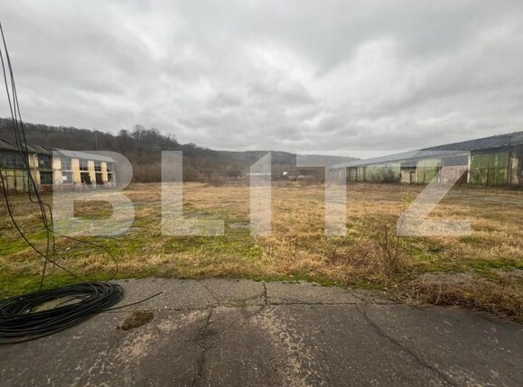 Spațiu industrial de închiriat Vest - 151050SII | BLITZ Sibiu | Poza4
