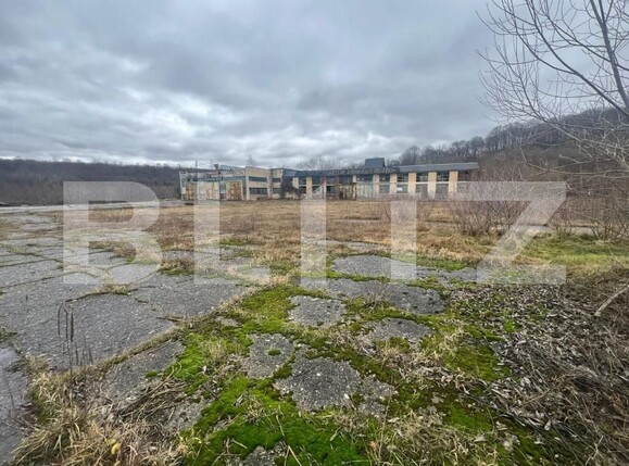 Spațiu industrial de închiriat Vest - 151050SII | BLITZ Sibiu | Poza1