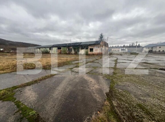 Spațiu industrial de închiriat Vest - 151050SII | BLITZ Sibiu | Poza6