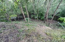 Casa 4 camere , 90m, zona Ocna Sibiului