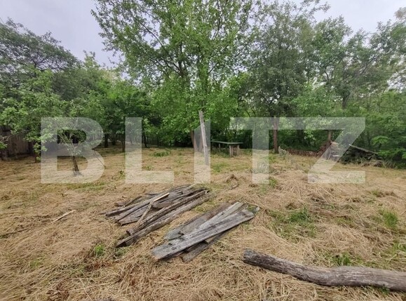 Casa de vânzare 4 camere Ocna Sibiului - 151202CV | BLITZ Sibiu | Poza7