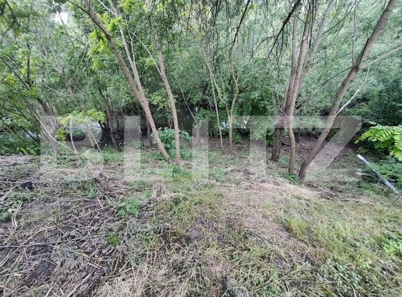 Casa de vânzare 4 camere Ocna Sibiului - 151202CV | BLITZ Sibiu | Poza9