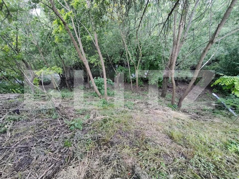 Casa de vânzare 4 camere Ocna Sibiului - 151202CV | BLITZ Sibiu | Poza9