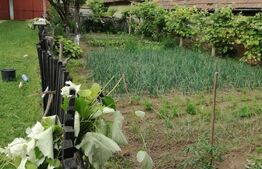 Casa off-grid 5 camere Sangatin