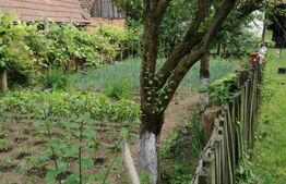 Casa off-grid 5 camere Sangatin judetul Sibiu