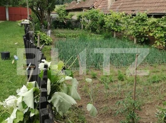 Casa de vânzare 5 camere Sangatin - 151452CV | BLITZ Sibiu | Poza7