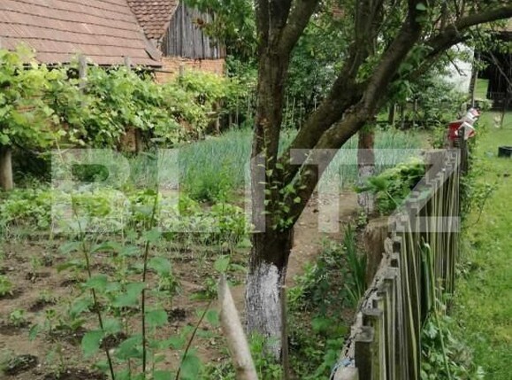 Casa de vânzare 5 camere Sangatin - 151452CV | BLITZ Sibiu | Poza8