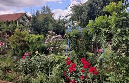 Casa 6 dormitoare Selimbar