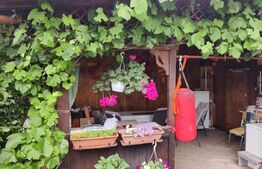 Casa 6 dormitoare Selimbar