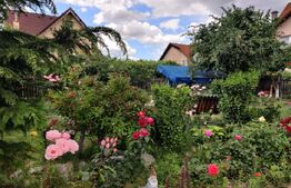 Casa 6 dormitoare Selimbar