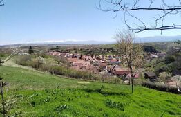 Casa Traditionala Ocna Sibiului 3 camere