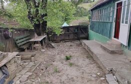 Casa Traditionala Ocna Sibiului 3 camere