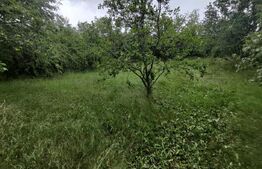 Casa Traditionala Ocna Sibiului 3 camere