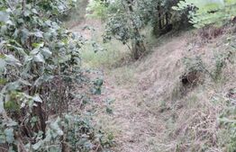 Casa Traditionala Ocna Sibiului 3 camere