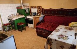 Casa Traditionala Ocna Sibiului 3 camere