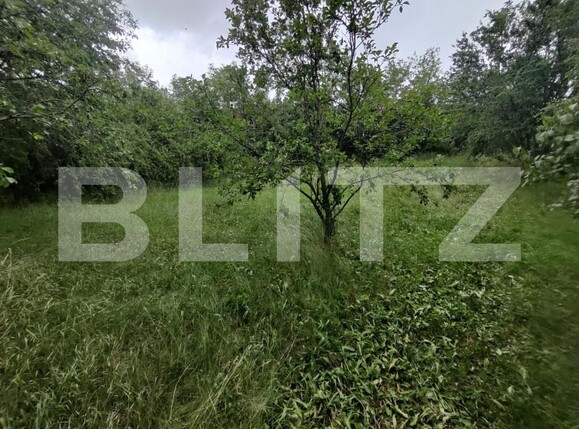 Casa de vânzare 2 camere Ocna Sibiului - 151815CV | BLITZ Sibiu | Poza7