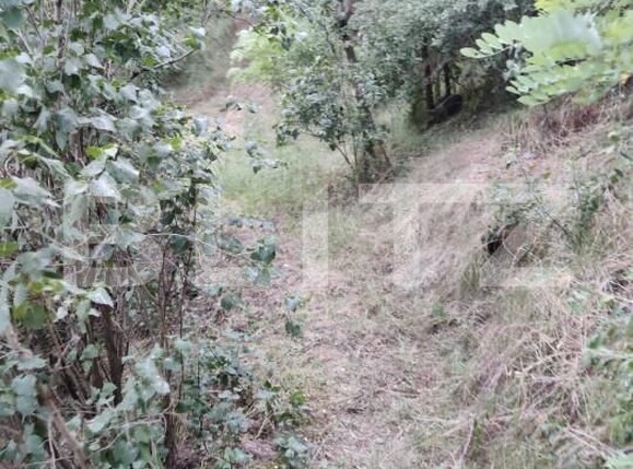 Casa de vânzare 2 camere Ocna Sibiului - 151815CV | BLITZ Sibiu | Poza6