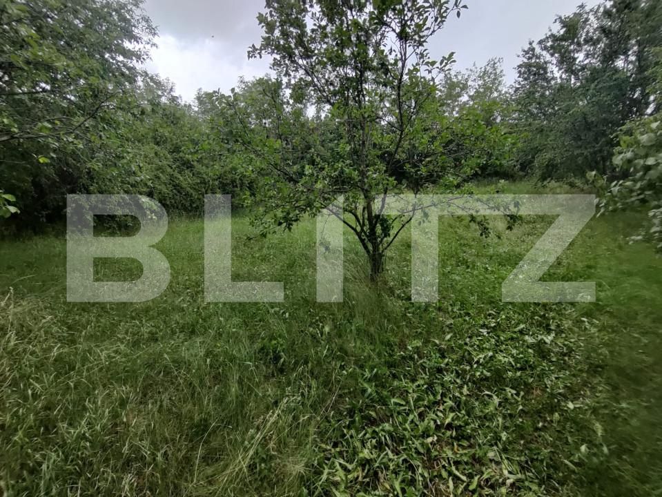 Casa de vânzare 2 camere Ocna Sibiului - 151815CV | BLITZ Sibiu | Poza7