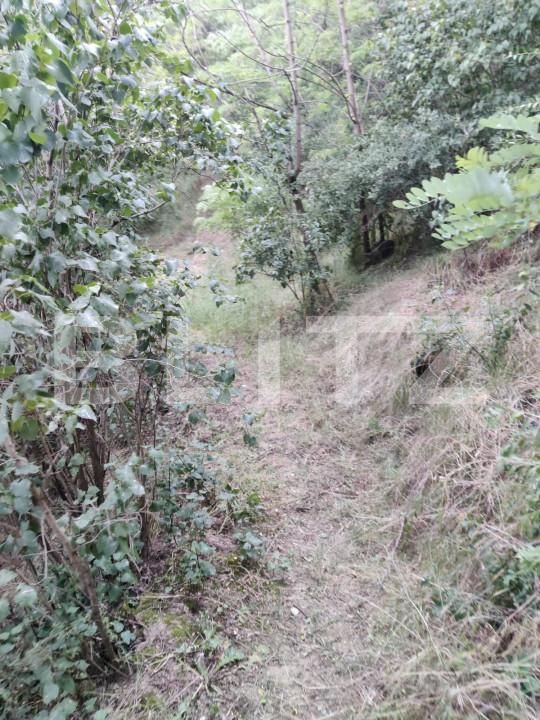 Casa de vânzare 2 camere Ocna Sibiului - 151815CV | BLITZ Sibiu | Poza6