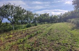 Casa  5 camere Ludos