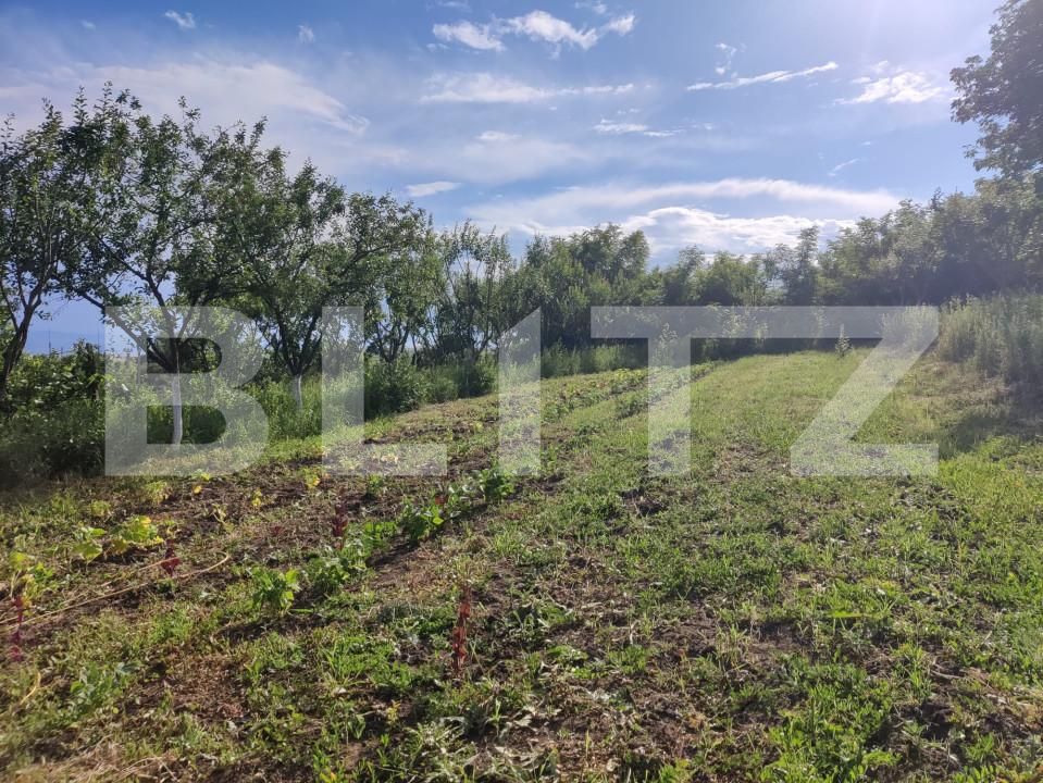 Casa de vânzare 5 camere Exterior Vest - 151822CV | BLITZ Sibiu | Poza2