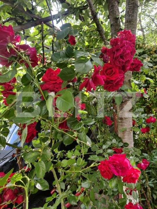 Casa de vânzare 5 camere Exterior Vest - 151822CV | BLITZ Sibiu | Poza1