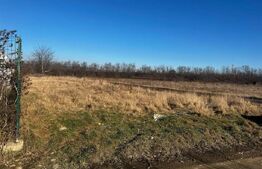 Teren Selimbar, 5000 mp.