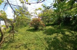 Casa RUSTICA de vacanta in comuna MIHAILENI, zona Seica Mare