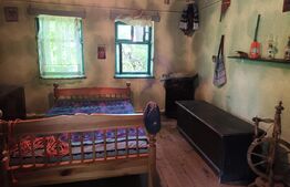 Casa RUSTICA de vacanta in comuna MIHAILENI, zona Seica Mare