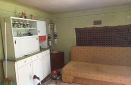 Casa RUSTICA de vacanta in comuna MIHAILENI, zona Seica Mare