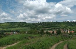 Casa RUSTICA de vacanta in comuna MIHAILENI, zona Seica Mare