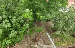 Casa 3 camere Saliste