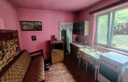 Casa 3 camere Saliste