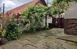 Casa 3 camere Saliste