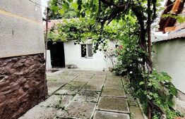 Casa 3 camere Saliste