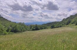 Teren, zona Gusterita , 28.800 mp