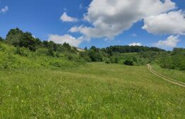 Teren, zona Gusterita , 28.800 mp