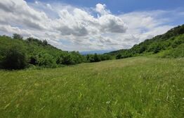 Teren, zona Gusterita , 28.800 mp