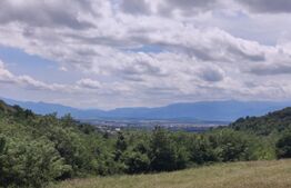 Teren, zona Gusterita , 28.800 mp