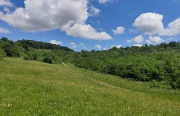Teren, zona Gusterita , 28.800 mp